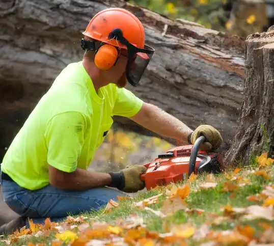 tree services West Liberty